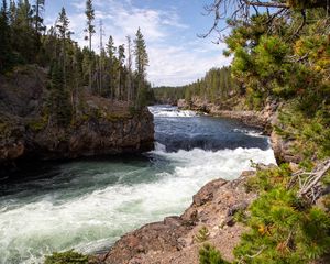 Preview wallpaper river, waves, trees, forest, trunks, nature