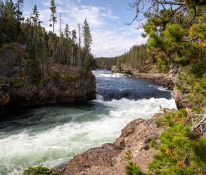 Preview wallpaper river, waves, trees, forest, trunks, nature