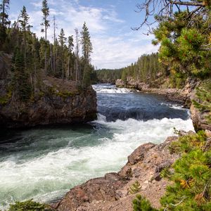 Preview wallpaper river, waves, trees, forest, trunks, nature