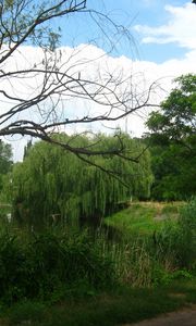 Preview wallpaper river, willows, footpath, summer