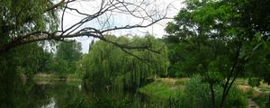 Preview wallpaper river, willows, footpath, summer