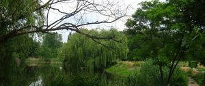 Preview wallpaper river, willows, footpath, summer