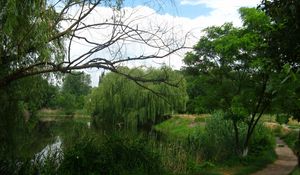 Preview wallpaper river, willows, footpath, summer