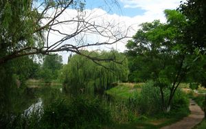 Preview wallpaper river, willows, footpath, summer