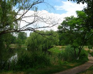 Preview wallpaper river, willows, footpath, summer