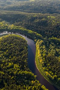 Preview wallpaper river, winding, forest, trees