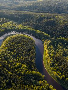 Preview wallpaper river, winding, forest, trees