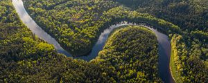 Preview wallpaper river, winding, forest, trees