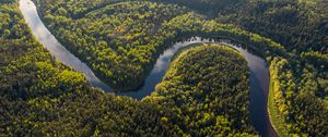 Preview wallpaper river, winding, forest, trees