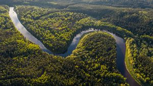 Preview wallpaper river, winding, forest, trees