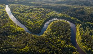 Preview wallpaper river, winding, forest, trees