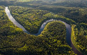 Preview wallpaper river, winding, forest, trees