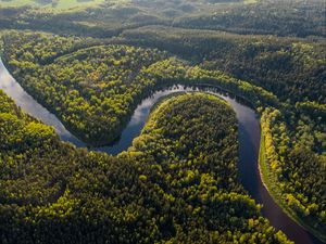 Preview wallpaper river, winding, forest, trees