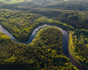 Preview wallpaper river, winding, forest, trees