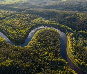 Preview wallpaper river, winding, forest, trees