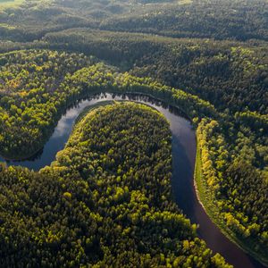 Preview wallpaper river, winding, forest, trees