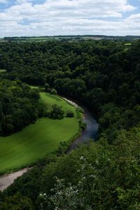 Preview wallpaper river, winding, trees, bushes