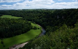 Preview wallpaper river, winding, trees, bushes