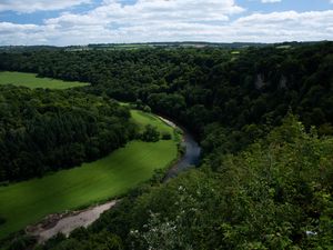 Preview wallpaper river, winding, trees, bushes