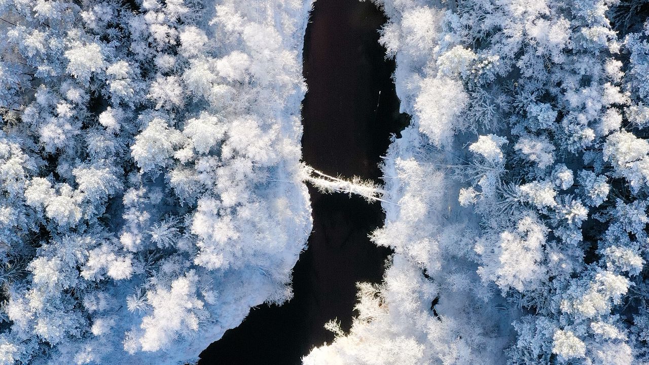 Wallpaper river, winter, aerial view, trees, snow