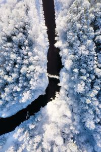 Preview wallpaper river, winter, aerial view, trees, snow