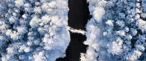 Preview wallpaper river, winter, aerial view, trees, snow