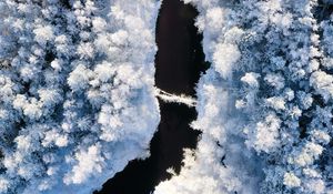 Preview wallpaper river, winter, aerial view, trees, snow