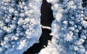 Preview wallpaper river, winter, aerial view, trees, snow