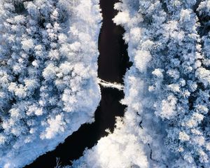 Preview wallpaper river, winter, aerial view, trees, snow