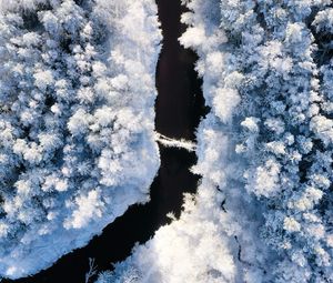 Preview wallpaper river, winter, aerial view, trees, snow