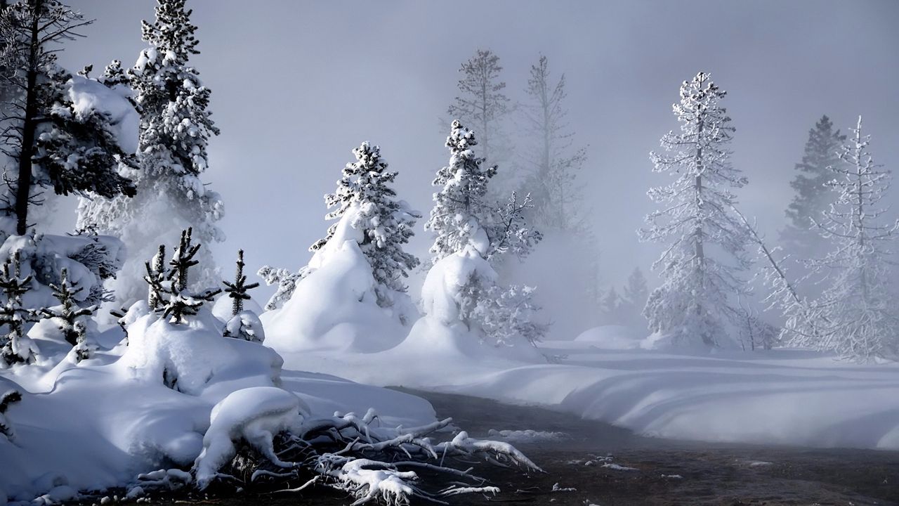 Wallpaper river, winter, snow, trees, roots, steam, fog