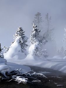 Preview wallpaper river, winter, snow, trees, roots, steam, fog