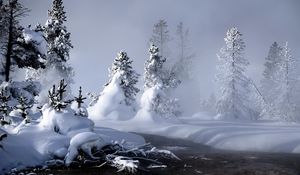 Preview wallpaper river, winter, snow, trees, roots, steam, fog