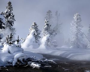 Preview wallpaper river, winter, snow, trees, roots, steam, fog