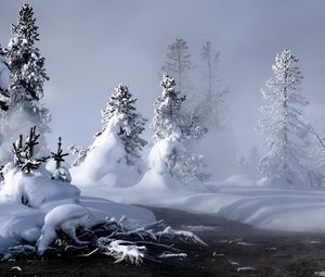 Preview wallpaper river, winter, snow, trees, roots, steam, fog