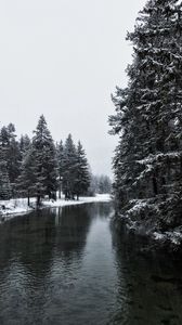 Preview wallpaper river, winter, trees, snow