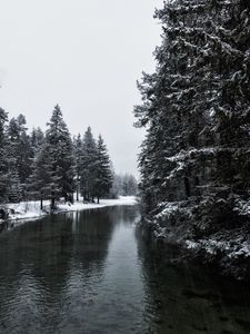 Preview wallpaper river, winter, trees, snow