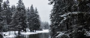 Preview wallpaper river, winter, trees, snow