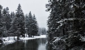 Preview wallpaper river, winter, trees, snow