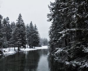 Preview wallpaper river, winter, trees, snow