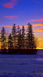 Preview wallpaper river, winter, trees, ice, islet