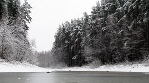 Preview wallpaper river, winter, trees, ice, snow, black white
