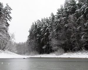 Preview wallpaper river, winter, trees, ice, snow, black white