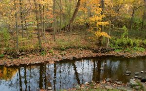 Preview wallpaper river, wood, autumn, leaves, stones, coast, reflection, ripples