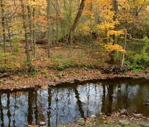 Preview wallpaper river, wood, autumn, leaves, stones, coast, reflection, ripples