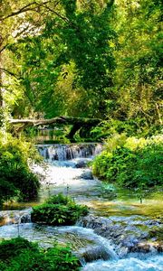 Preview wallpaper river, wood, green, thickets, stream, current, cascades, brightly, contrast, shadows, summer