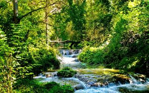 Preview wallpaper river, wood, green, thickets, stream, current, cascades, brightly, contrast, shadows, summer