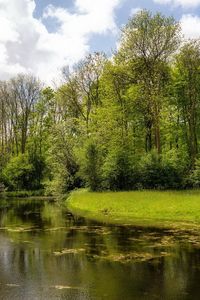 Preview wallpaper river, wood, lake, green, summer, day, reservoir