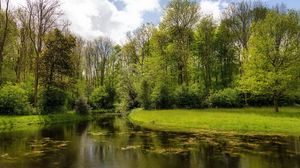 Preview wallpaper river, wood, lake, green, summer, day, reservoir