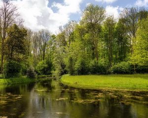 Preview wallpaper river, wood, lake, green, summer, day, reservoir